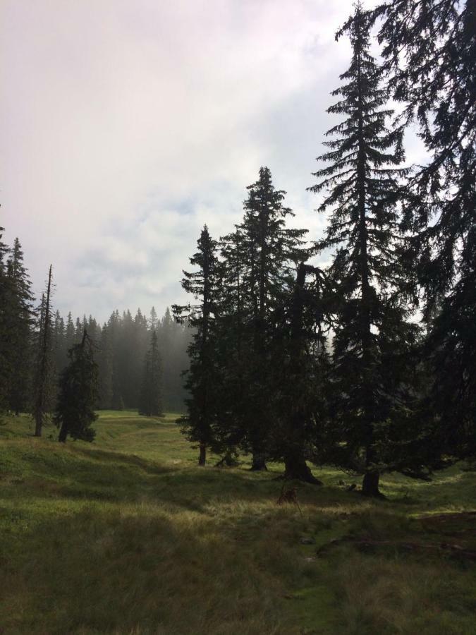 Chalets Almidylle Санкт Мартин ам Тененгебирге Екстериор снимка